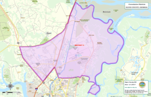 Glynn County Commission Map District Three (3)